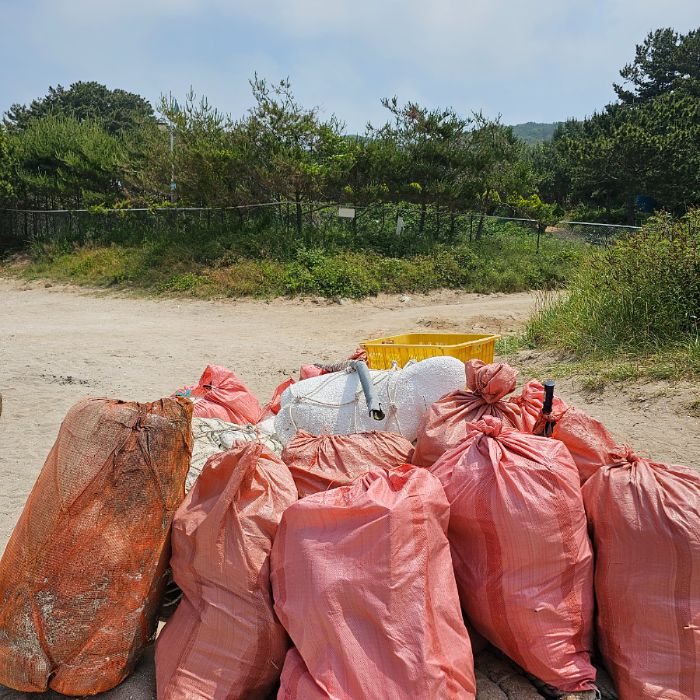  인천중구.동네.쓰레기.플로깅