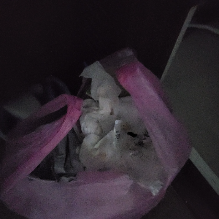  고양시.동네.쓰레기.플로깅