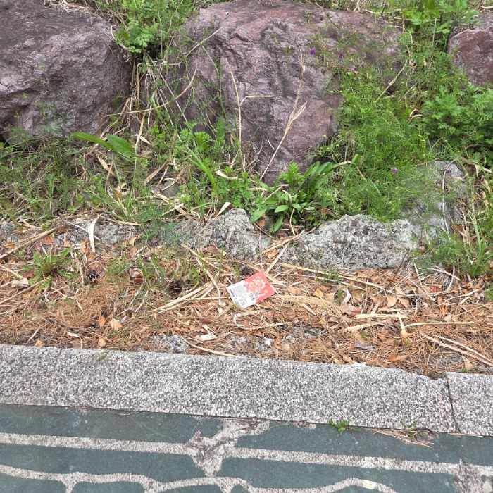  창원시.동네.쓰레기.플로깅