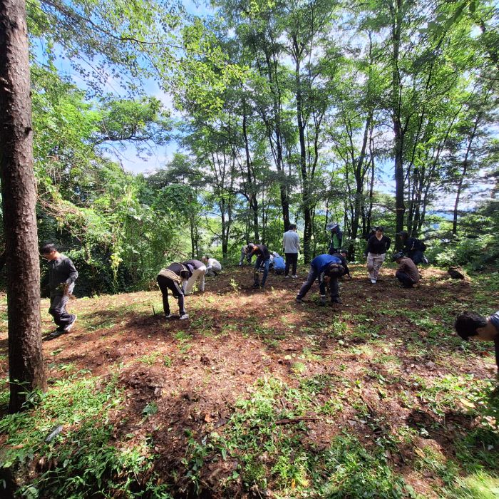  춘천시.동네.쓰레기.플로깅