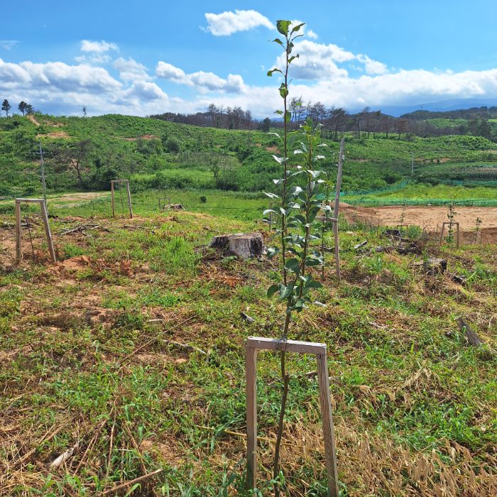  강릉시.동네.쓰레기.플로깅