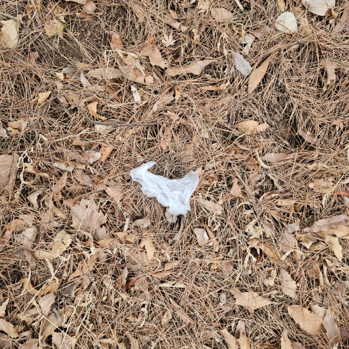  태안군.동네.쓰레기.플로깅