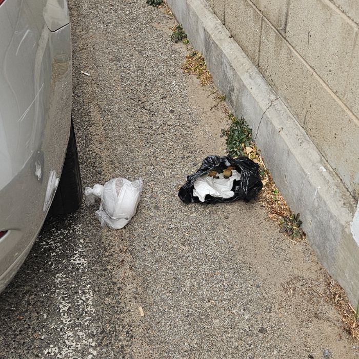  칠곡군.동네.쓰레기.플로깅