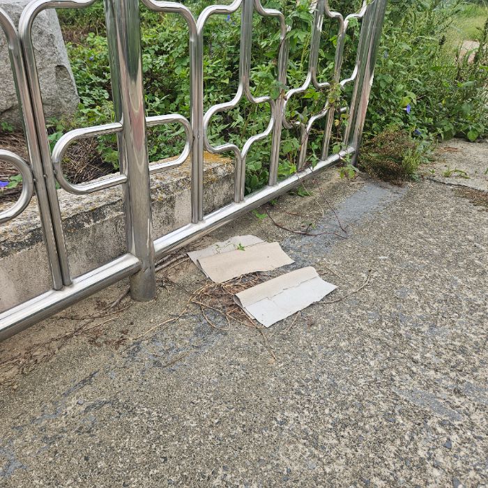  칠곡군.동네.쓰레기.플로깅