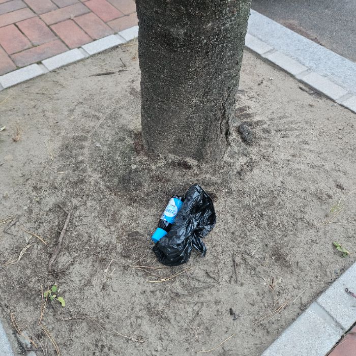  칠곡군.동네.쓰레기.플로깅