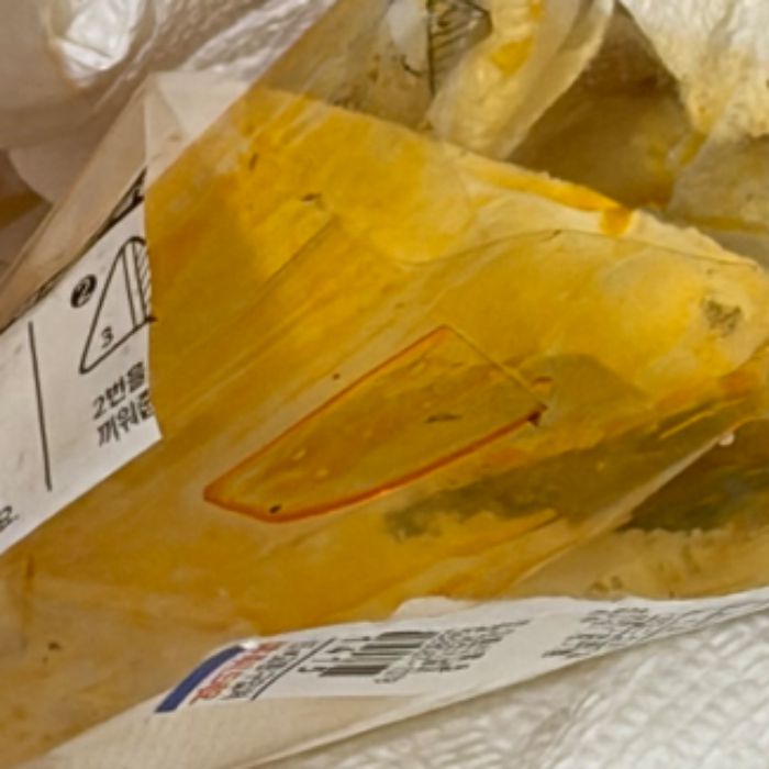  포항시.동네.쓰레기.플로깅