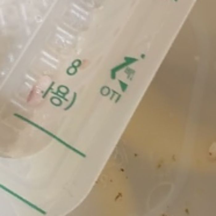  포항시.동네.쓰레기.플로깅