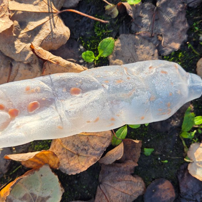 용인시.동네.쓰레기.플로깅