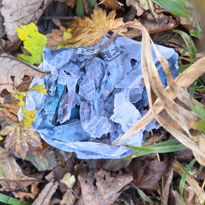 가평군.동네.쓰레기.플로깅