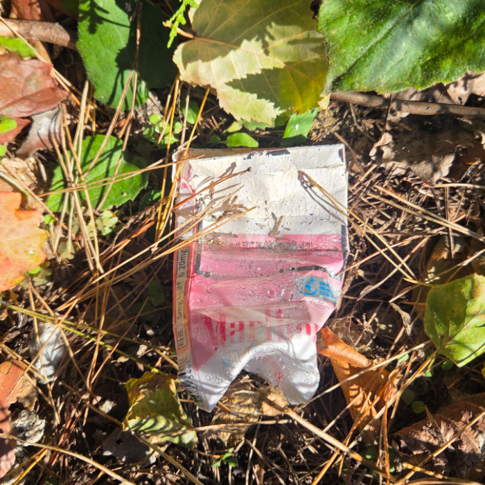 홍천군.동네.쓰레기.플로깅