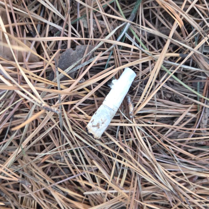  용인시.동네.쓰레기.플로깅