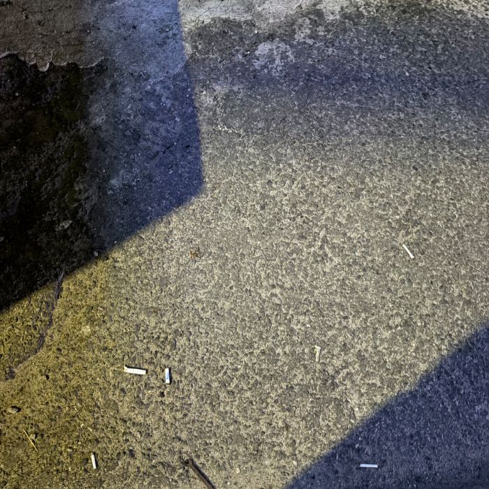  이천시.동네.쓰레기.플로깅