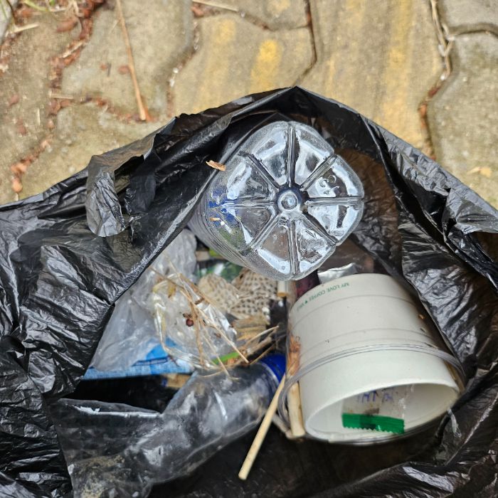 통영시.동네.쓰레기.플로깅