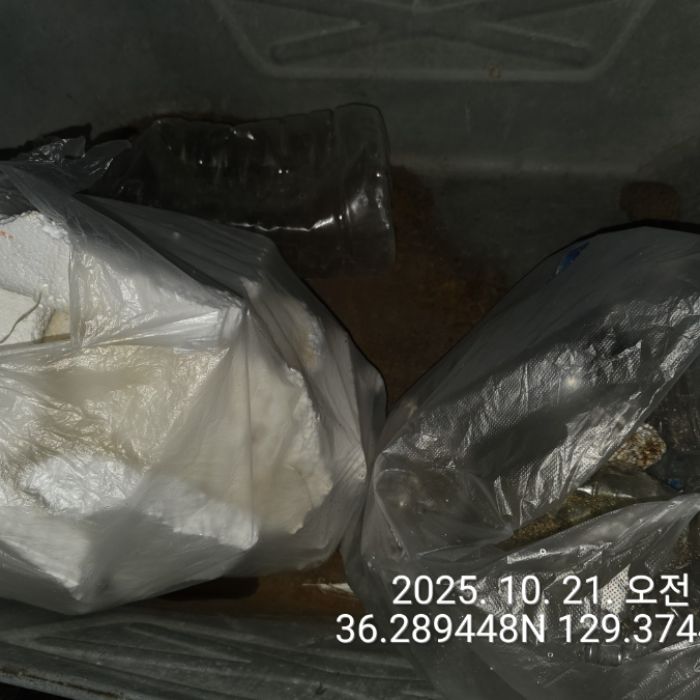 영덕군.동네.쓰레기.플로깅