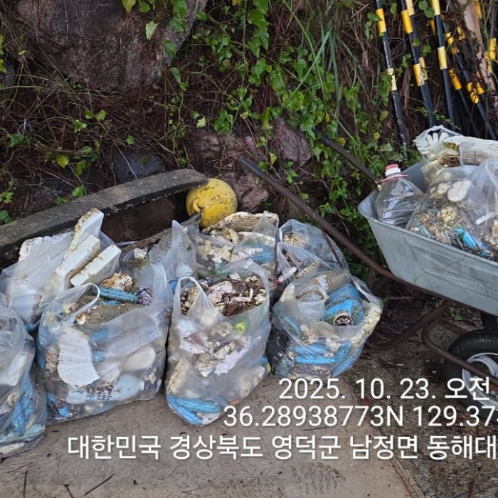 영덕군.동네.쓰레기.플로깅