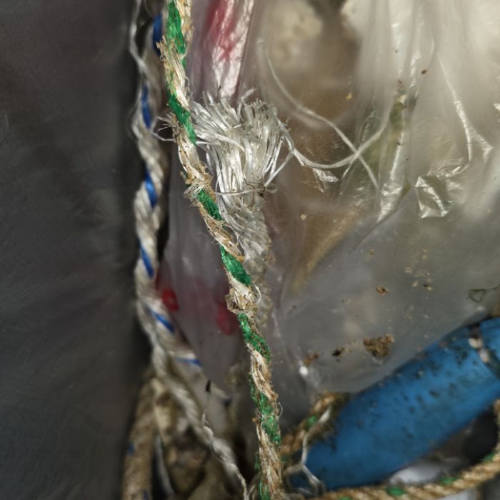 영덕군.동네.쓰레기.플로깅