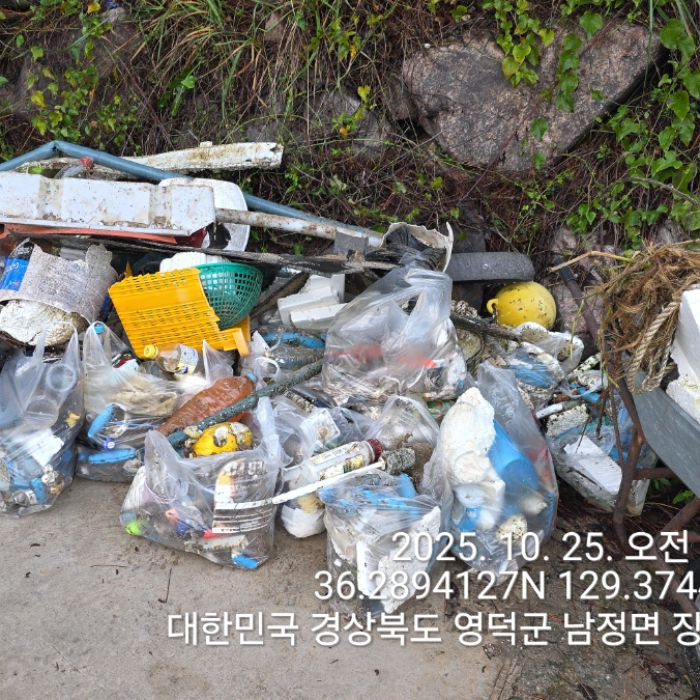 영덕군.동네.쓰레기.플로깅