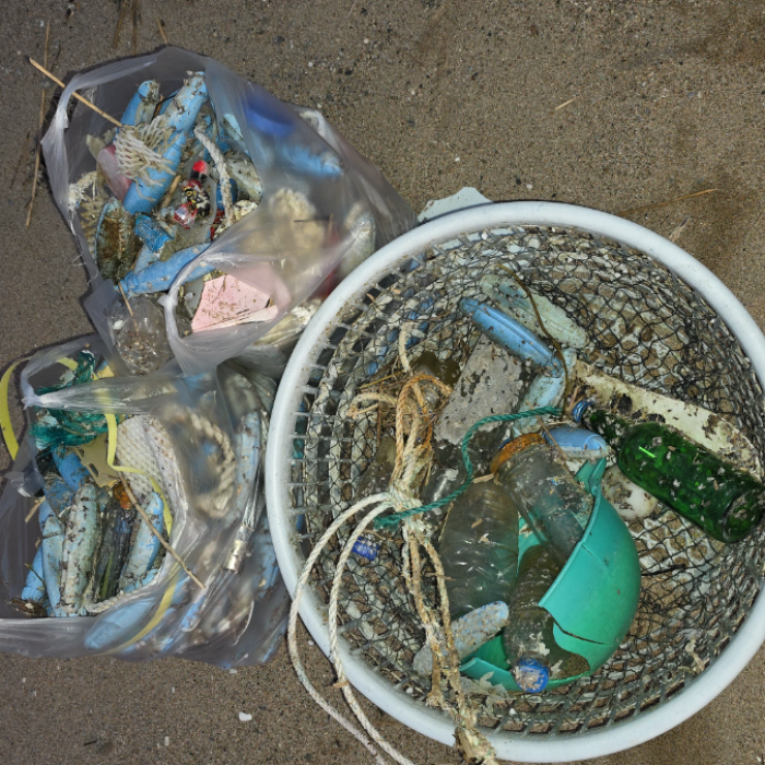 영덕군.동네.쓰레기.플로깅