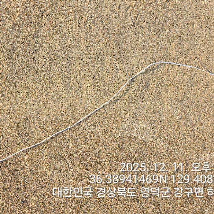  영덕군.동네.쓰레기.플로깅