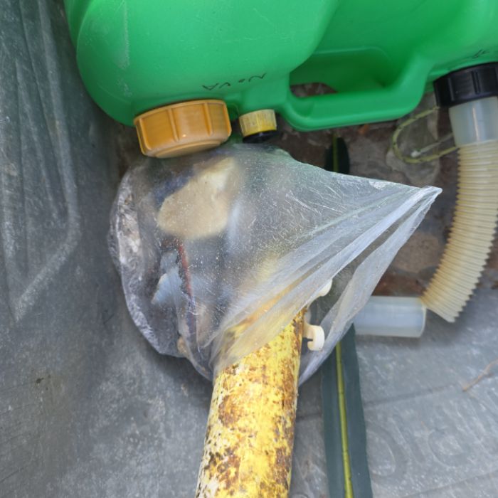  영덕군.동네.쓰레기.플로깅