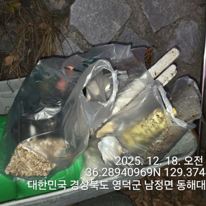  영덕군.동네.쓰레기.플로깅