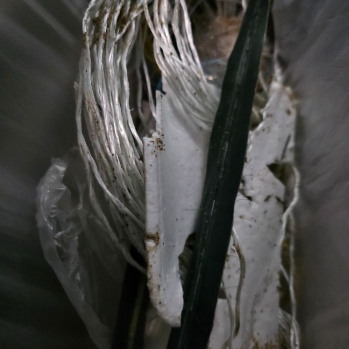  영덕군.동네.쓰레기.플로깅