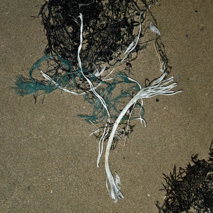  영덕군.동네.쓰레기.플로깅