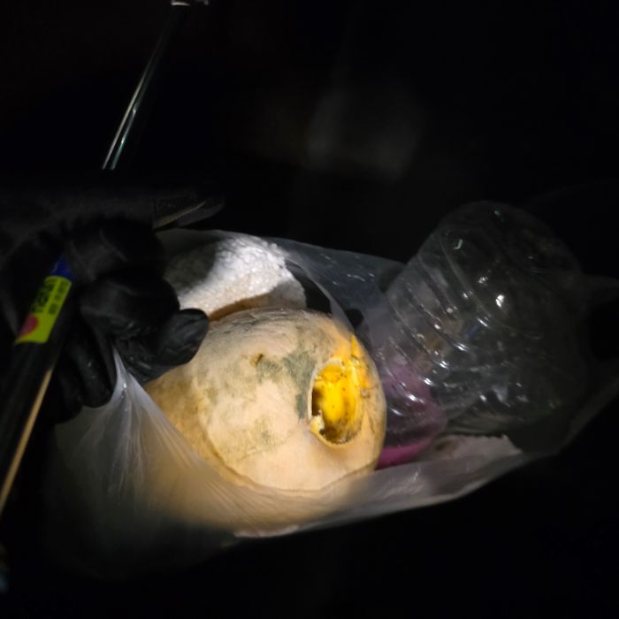  영덕군.동네.쓰레기.플로깅