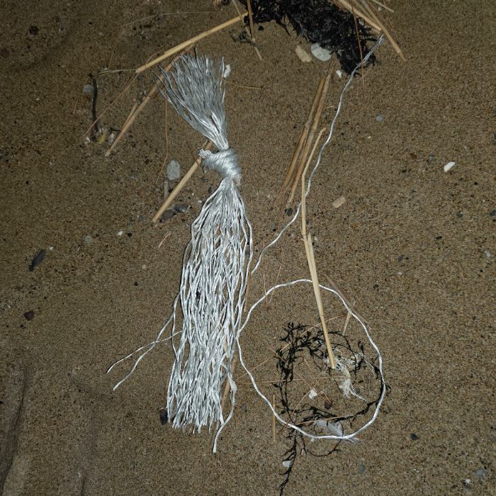  영덕군.동네.쓰레기.플로깅