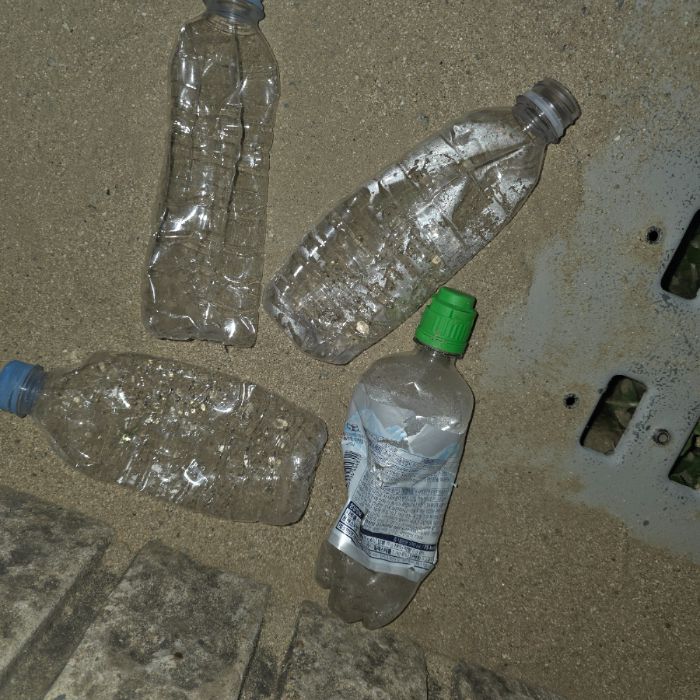  영덕군.동네.쓰레기.플로깅