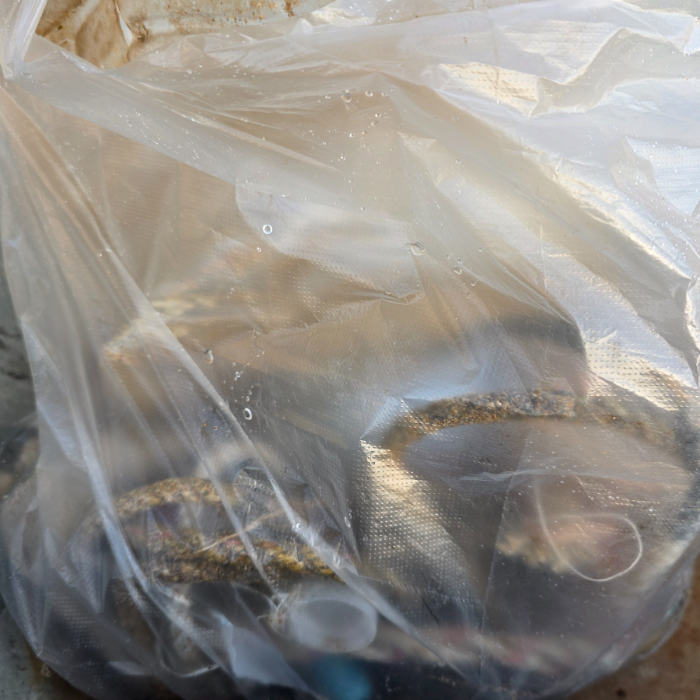  영덕군.동네.쓰레기.플로깅