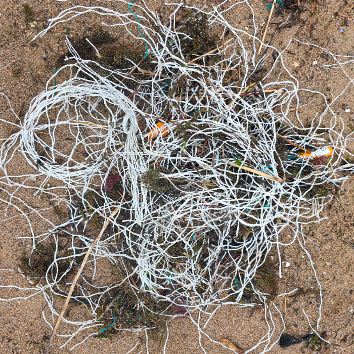  영덕군.동네.쓰레기.플로깅