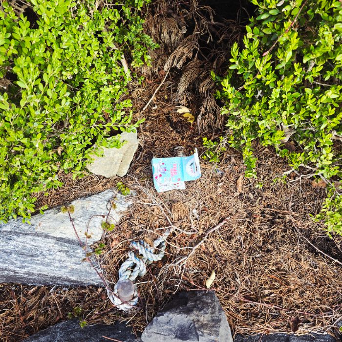  서산시.동네.쓰레기.플로깅