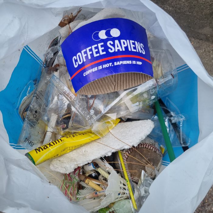  춘천시.동네.쓰레기.플로깅