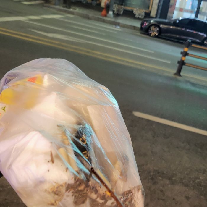  춘천시.동네.쓰레기.플로깅