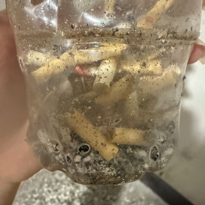 경산시.동네.쓰레기.플로깅