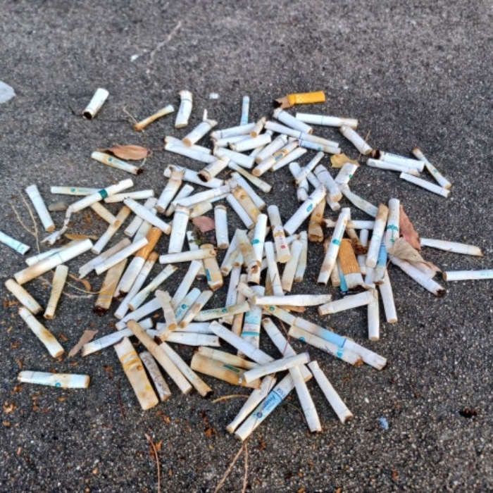 경산시.동네.쓰레기.플로깅