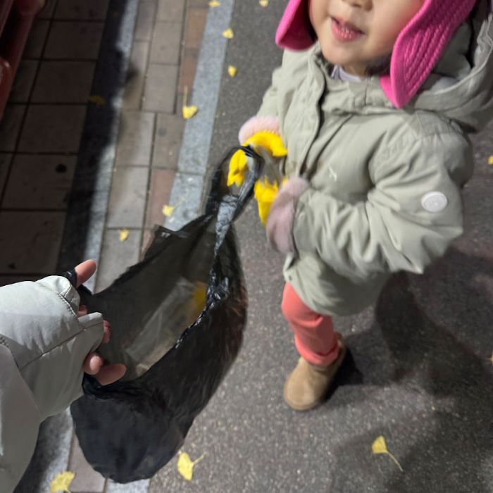  창원시.동네.쓰레기.플로깅