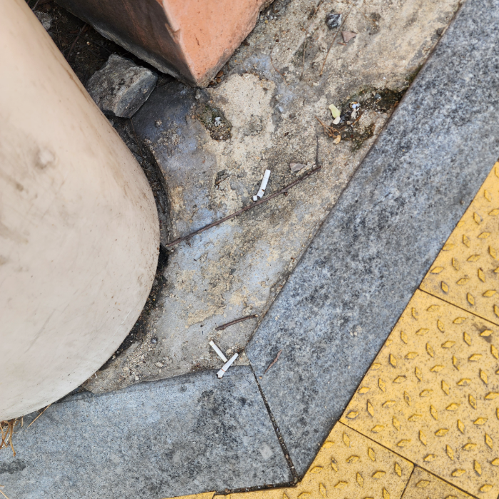  서울강남구.동네.쓰레기.플로깅