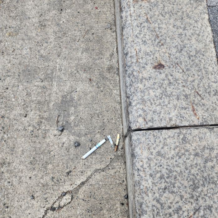  서울강남구.동네.쓰레기.플로깅