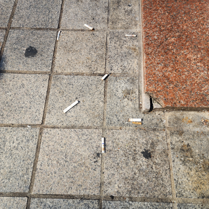 서울강남구.동네.쓰레기.플로깅