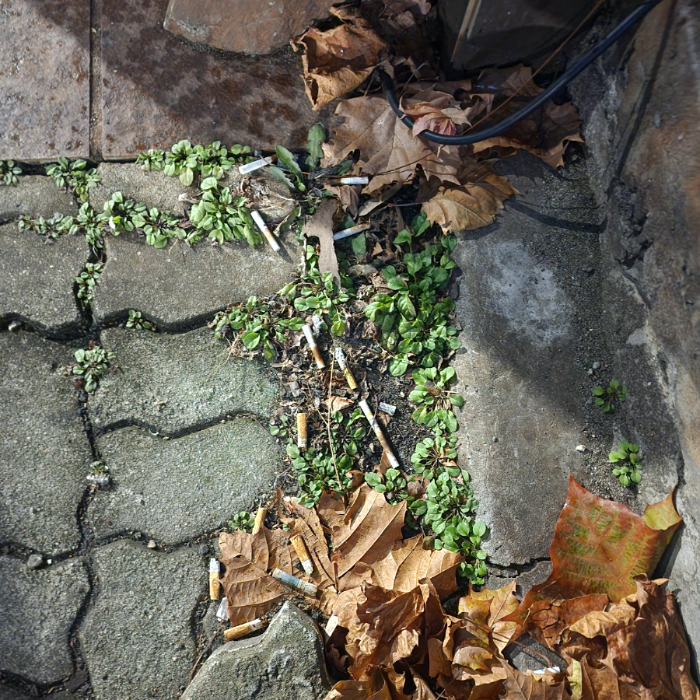  서울강남구.동네.쓰레기.플로깅