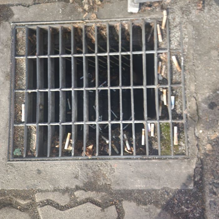  서울강남구.동네.쓰레기.플로깅