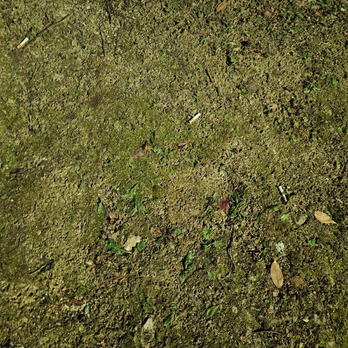  서울강남구.동네.쓰레기.플로깅