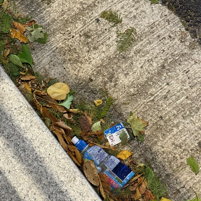 서울강남구.동네.쓰레기.플로깅