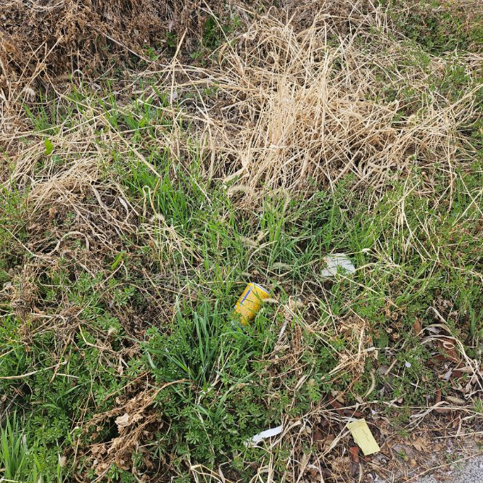  구미시.동네.쓰레기.플로깅