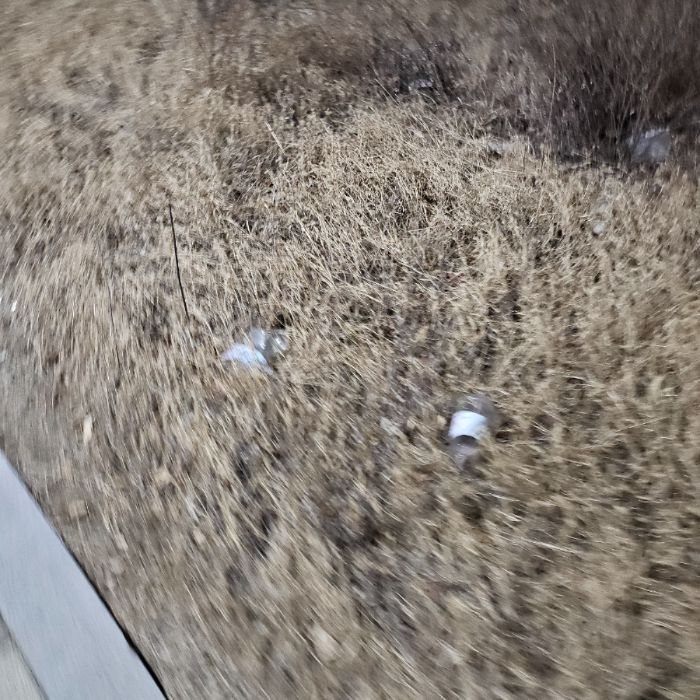  구미시.동네.쓰레기.플로깅