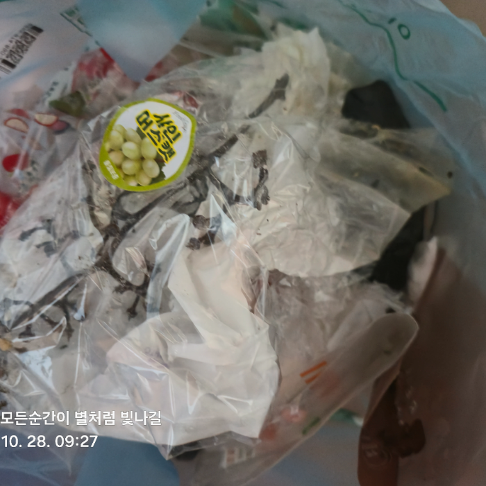 원주시.동네.쓰레기.플로깅