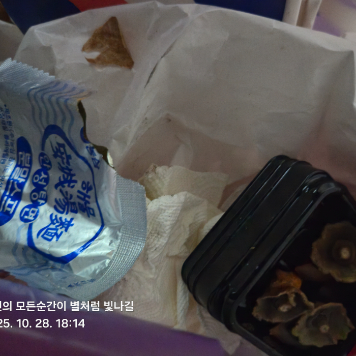 춘천시.동네.쓰레기.플로깅