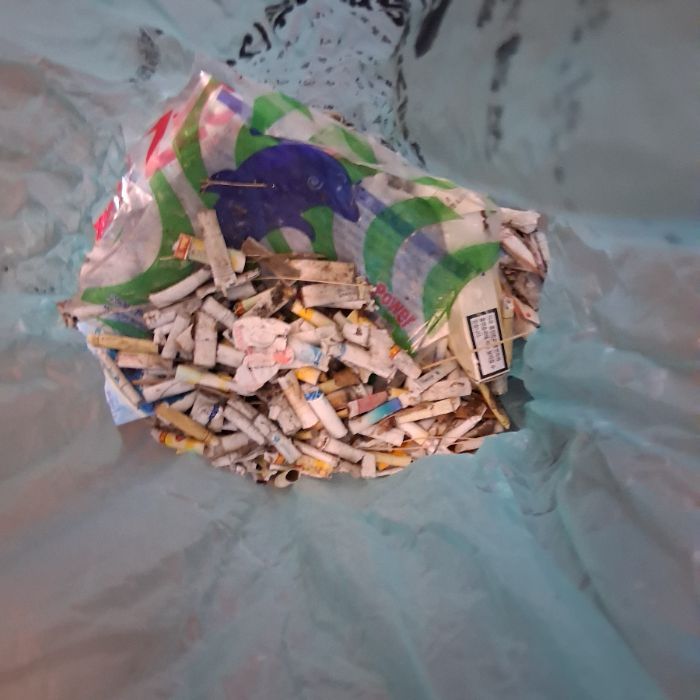  창원시.동네.쓰레기.플로깅